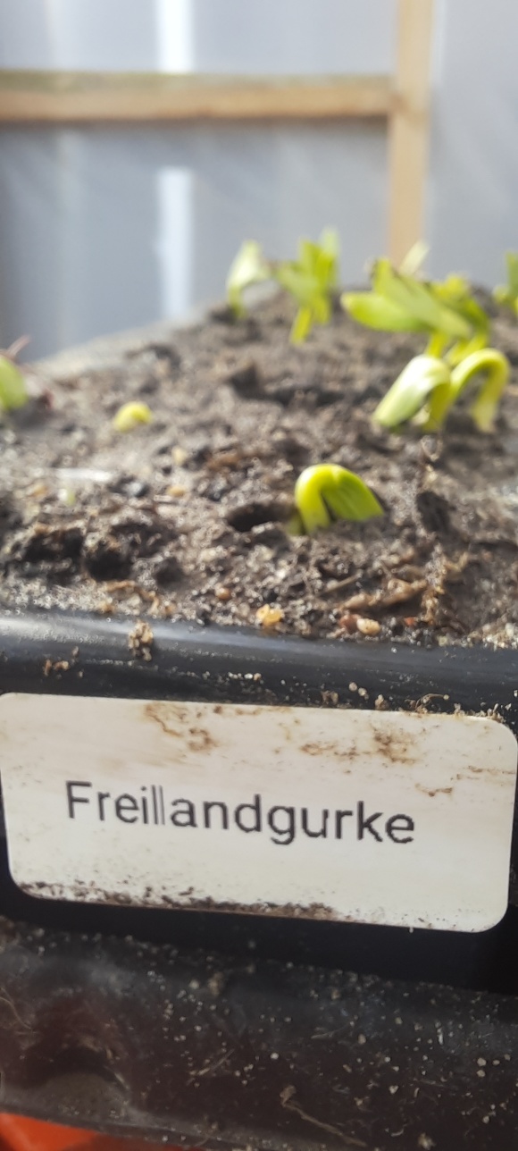 Bild zur Galerie